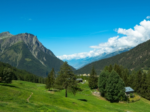 Visuale dal Dosso del Liro sulle Alpi Lepontine